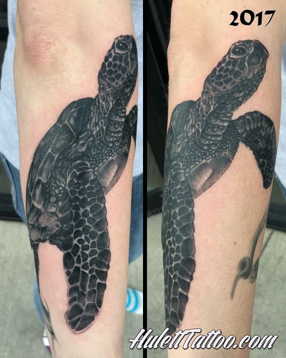 St Pete Tattoo Black And Grey Sea Turtle Tattoo by Jeremy Hulett