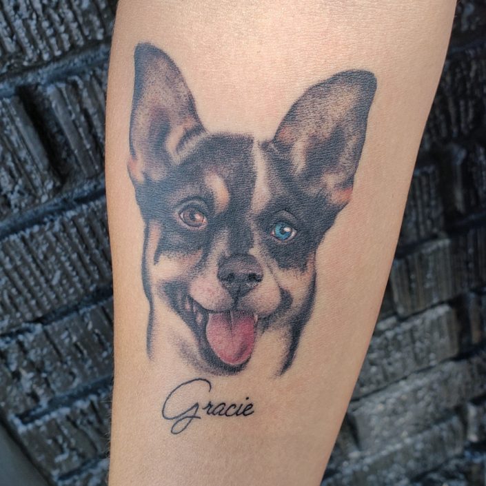 Gracie's Dog Portrait St Pete Tattoo
